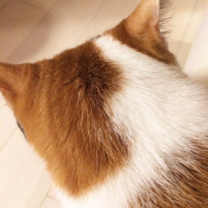 141f0366 b308 45d2 9784 63dd675ed7f2