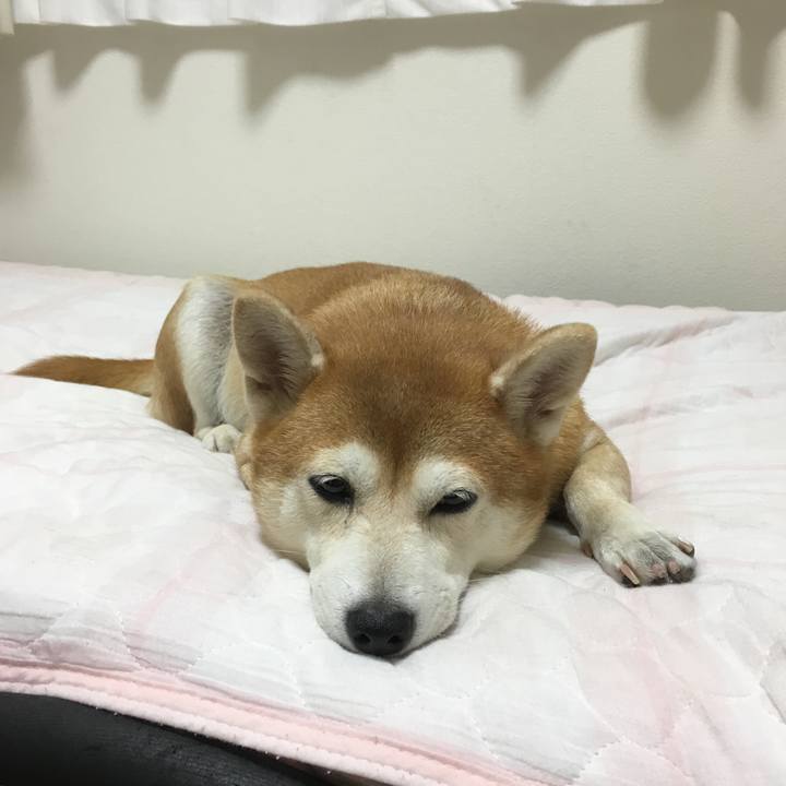 141f6ac9 e303 475f b4d6 2d43eb814fb7