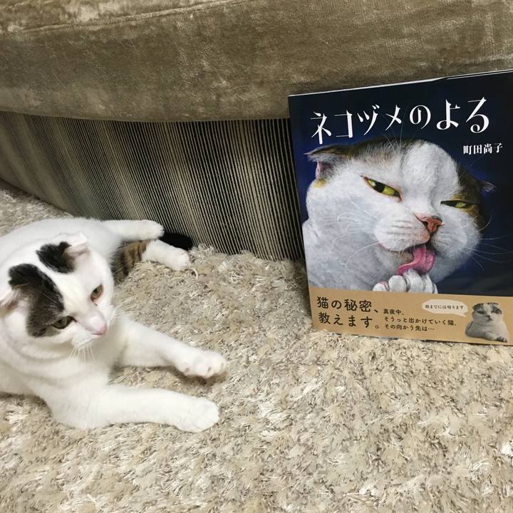 141f959c 9789 48e1 b26e 913ba2ea3222