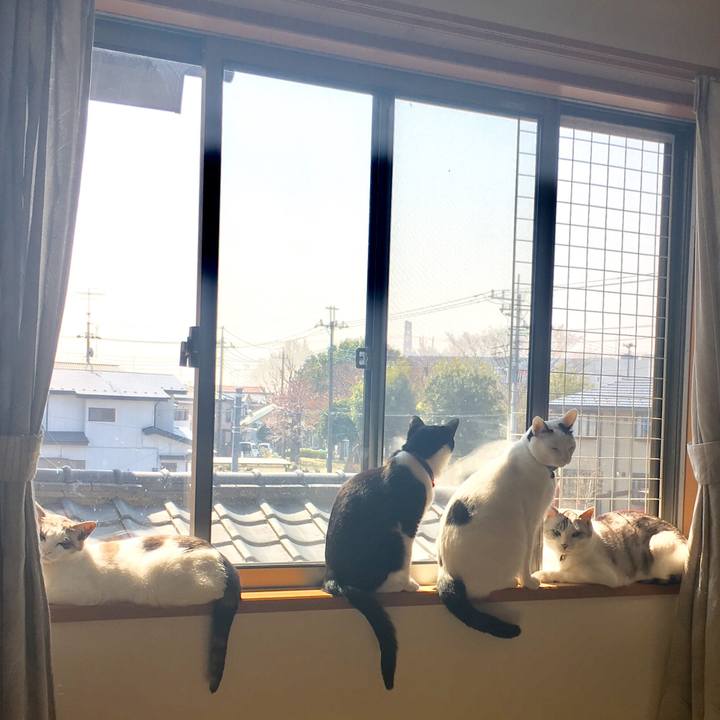 141fc301 5761 4857 a725 66a93be78764