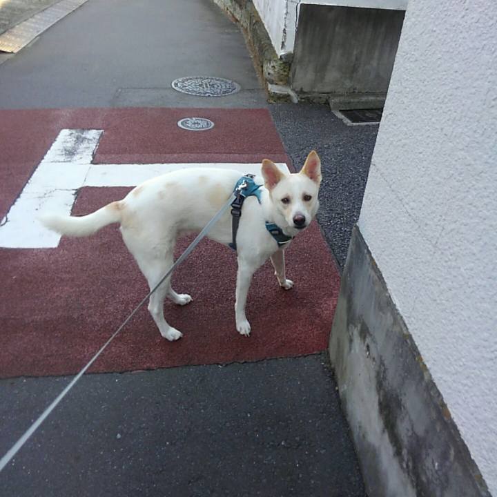 142039a7 258f 4a6f 8ec3 a2ff6190abfa