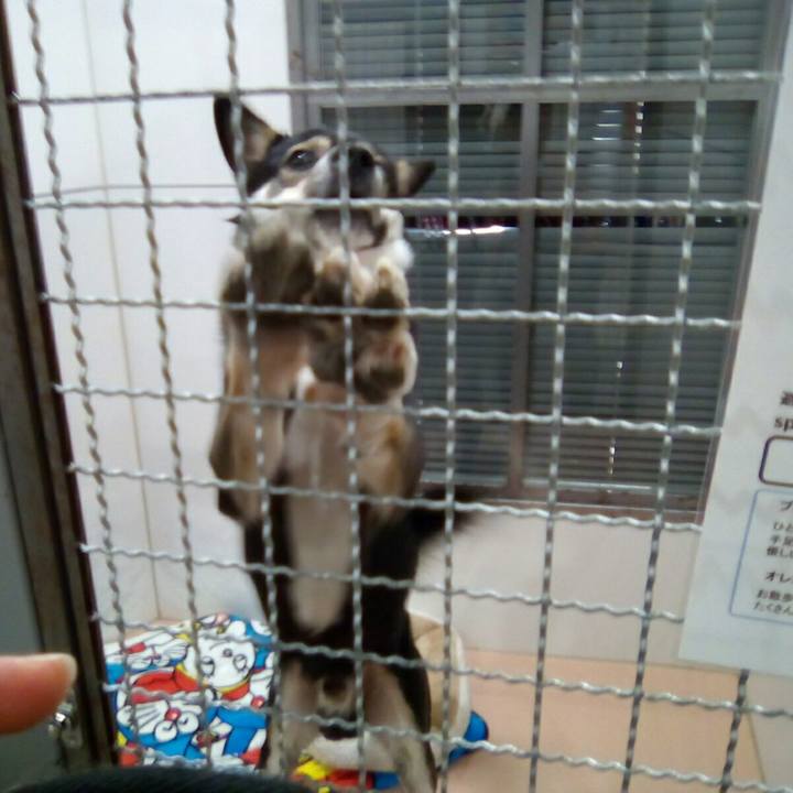 1421a0da 146b 4b99 875f eb5ec4949c83