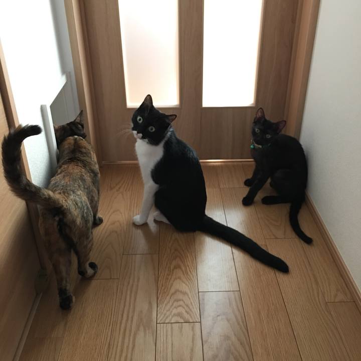 1421c063 2149 4e8e 9de6 1c77145eed1f