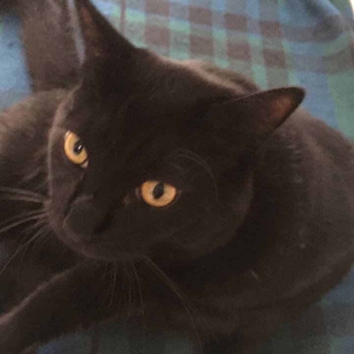 14226dc7 7244 4eef 9707 17f1e04409de