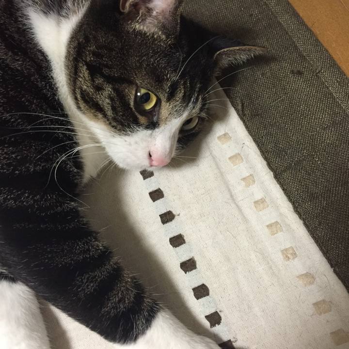 14228eaa 1c55 44e8 a632 4af6afedc9b8