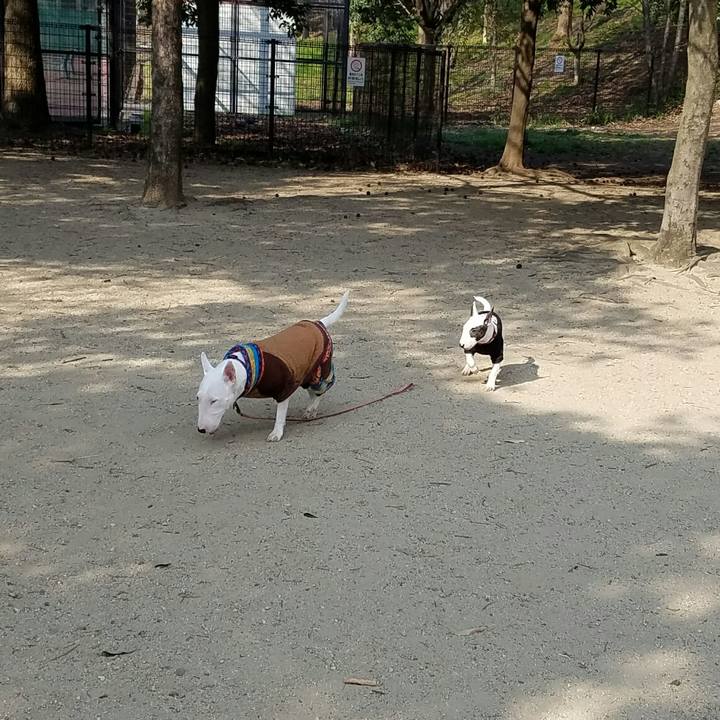 1422cbd3 2ed9 4706 8d82 6587b1126fab