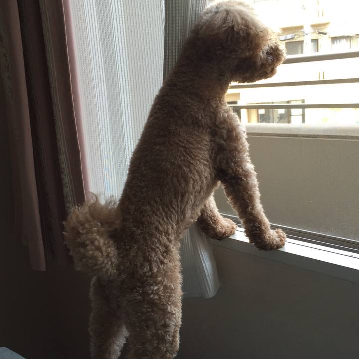 1422f873 6d48 4527 ac13 fb7e5c4cde7f