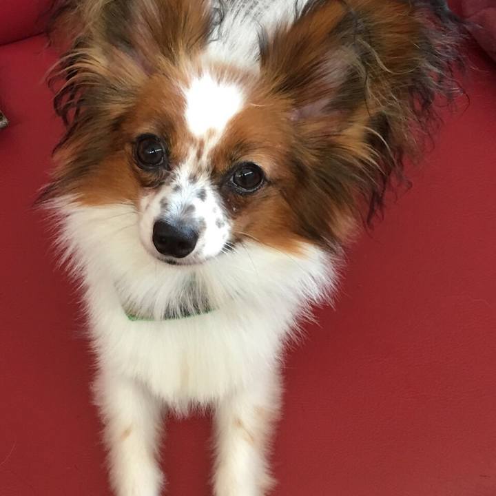 14230d3f 789f 4067 a019 c5360a442ec7