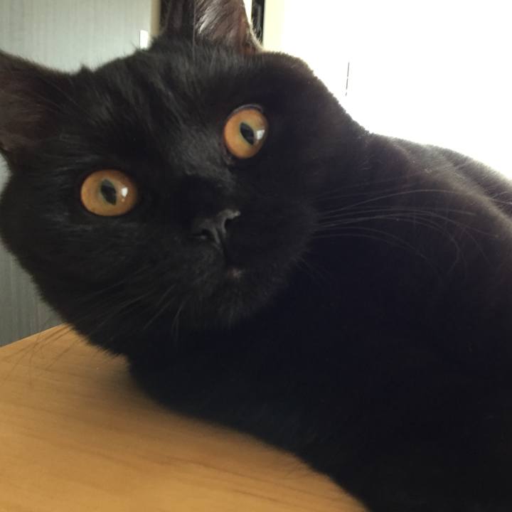 14232cf8 14c4 4363 8059 8a3218f6aa39