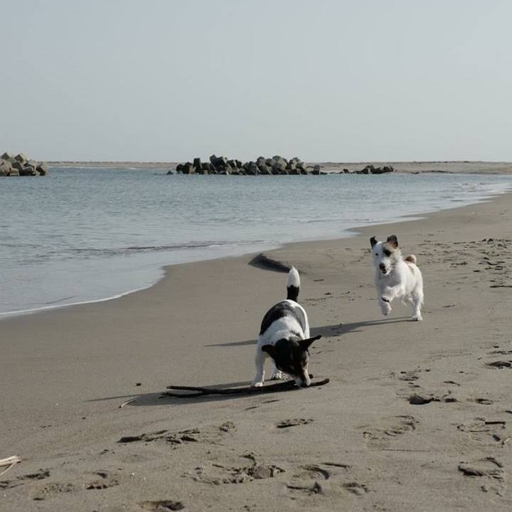 142398ce b61d 4d3d ad80 95a3a3e74660