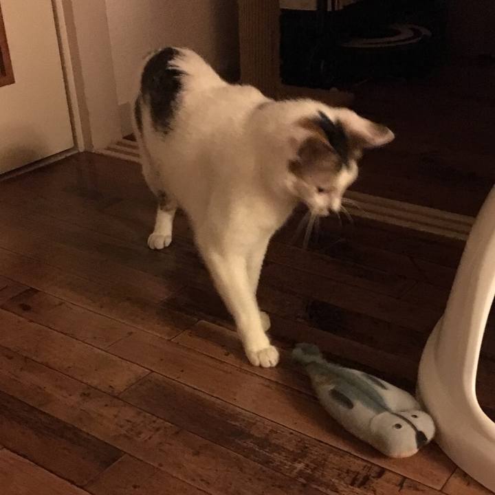 1423a266 114e 4355 aa76 68a0a8cb1e34