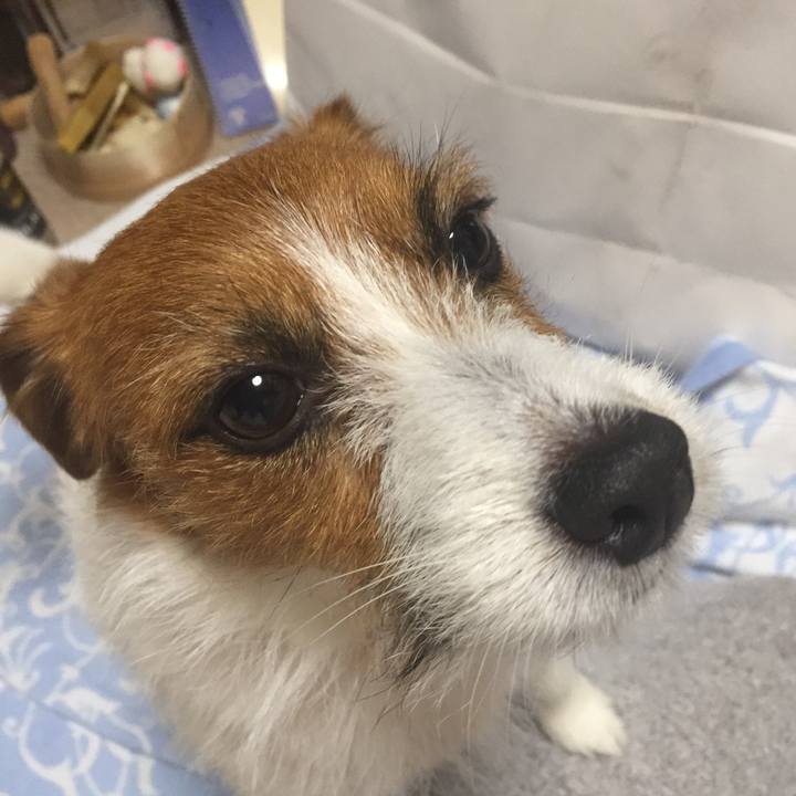 14248733 d52f 4e84 9c6f 524a0aef329e