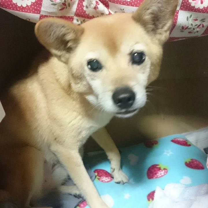 14249235 0b23 4320 b463 6f5cef490533