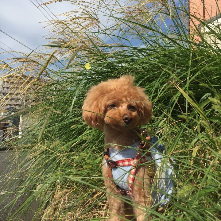 1425dd4c 4c56 4127 ab61 27b3aa8d97bf