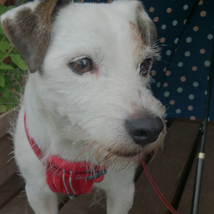 142603e6 c4f8 44a0 a62c 18b9265a2dac