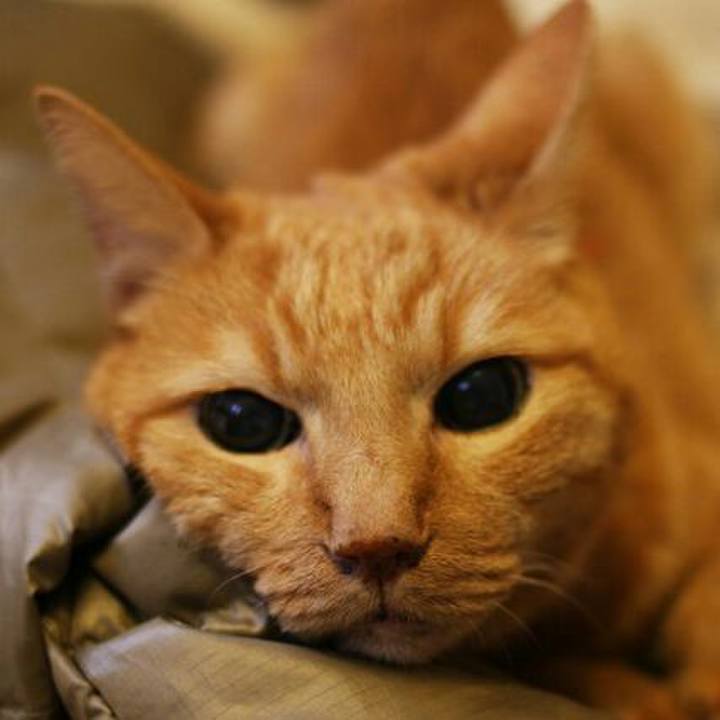 1426644a eeff 4089 ba88 2ba18899e6c5