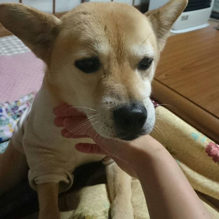 142687aa 9ccf 4bd4 900b 1a6d1991a5e4