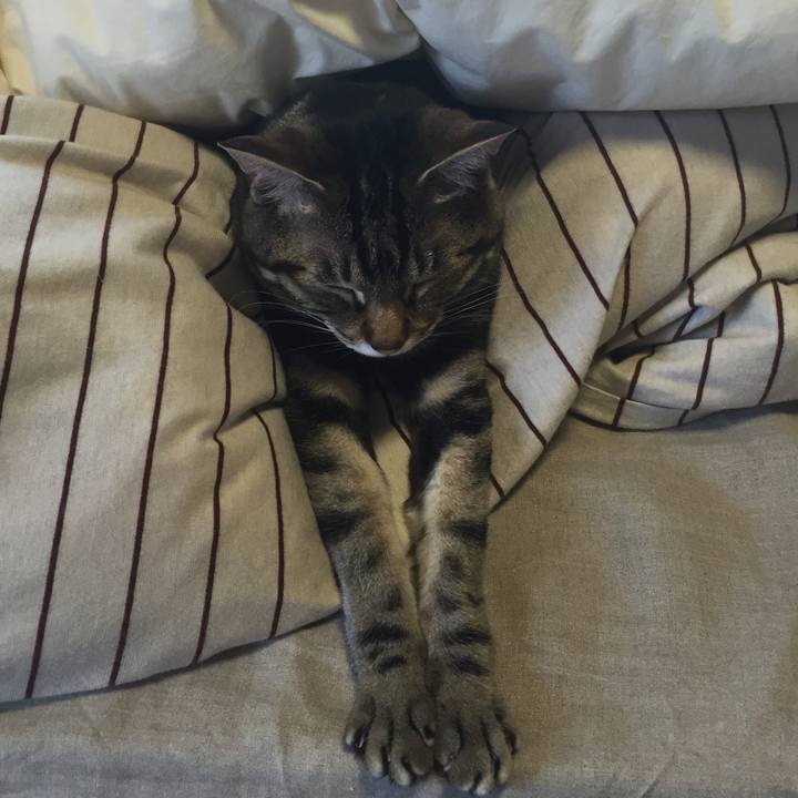 1427a504 d68e 4d5d 8d25 48ca289b3c3a