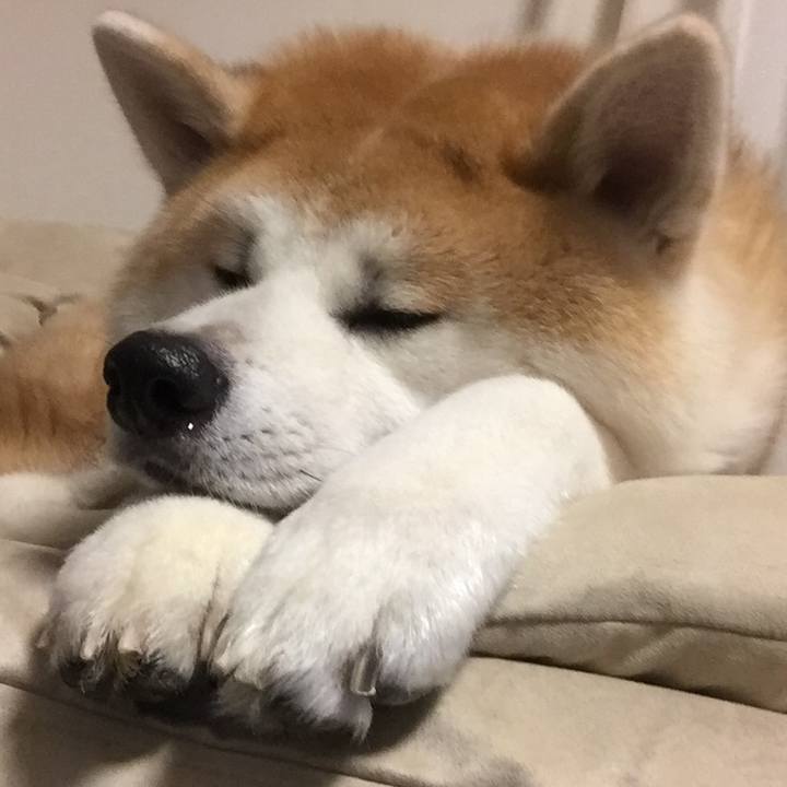 1427aff3 1ef3 4ac7 9f18 2e6799504ac2