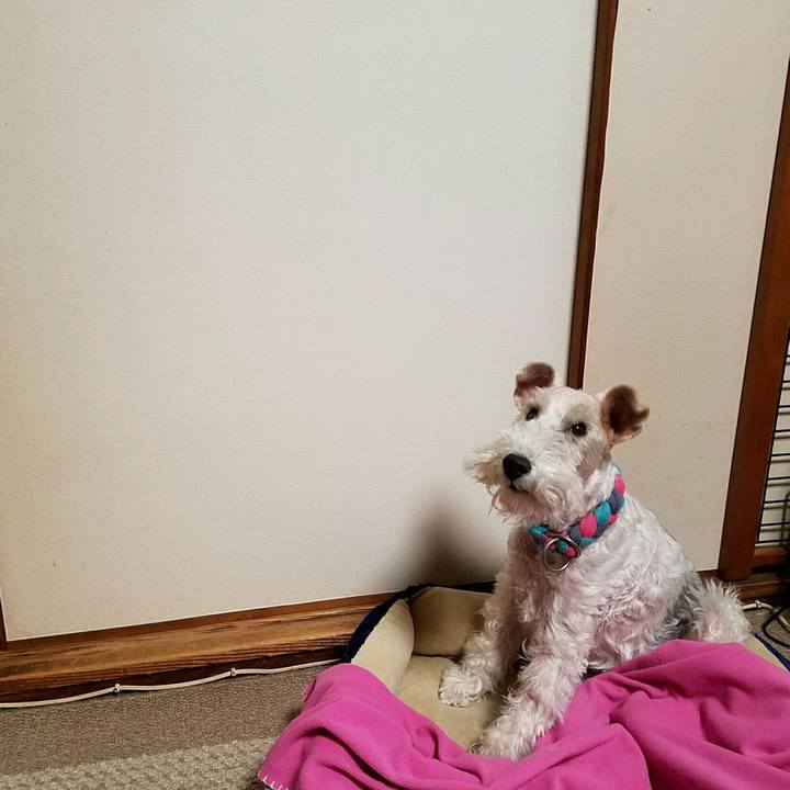 142809b1 1f6b 43f2 812d 2ed1560804d6