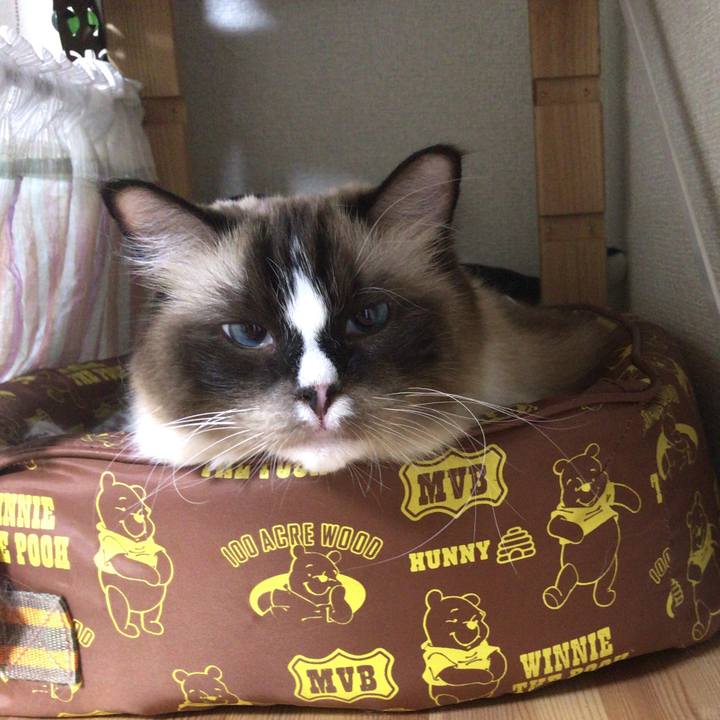 14282483 4345 4d3b a1db eb38c278f6ef