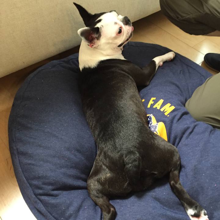 14284e98 2e83 43fb b8d6 9615503093a5