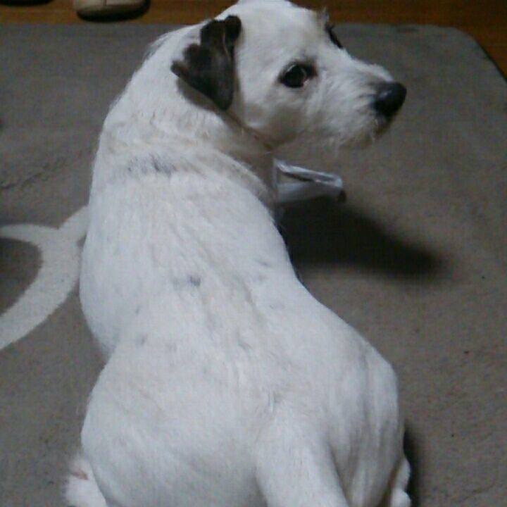 1428e382 e8a2 455c a5c6 c5a981121cf9