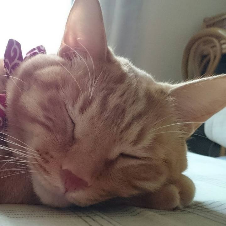 14292103 4822 42ed 8a8c 9f8120156780