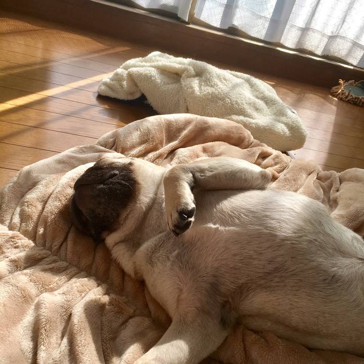 142924de 29b1 4742 98d6 758b07ac850d