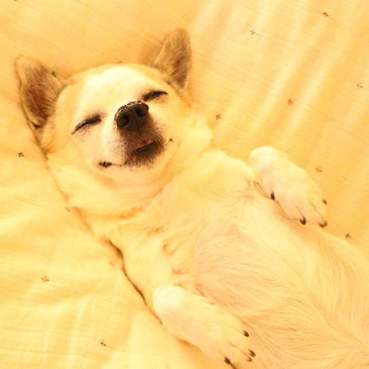 14297344 5d18 4f5e ae95 f1cbf9b3ea04