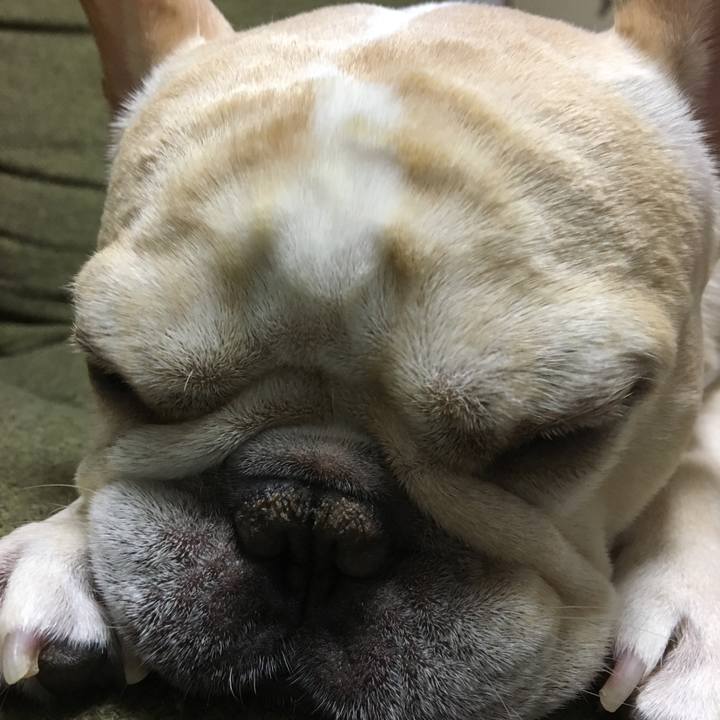 142a38b1 c8cd 4c75 bcc7 786b6aef1d0e