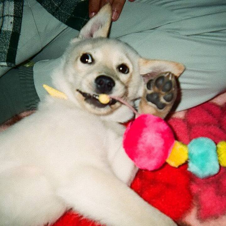 142a5d62 648f 469d 99df 5cef3eccd0c4