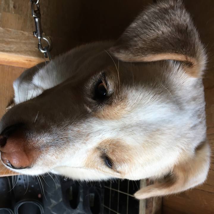 142a7f20 9234 40e2 b6a0 2348e7abff3c