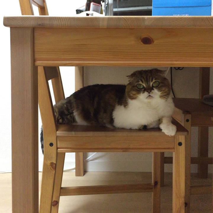 142b2dab c7cf 4bbb 8ddb 135758102a3d