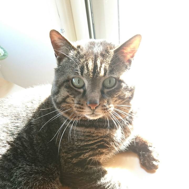 142defb6 00fc 4311 bbd8 69a7e061f180