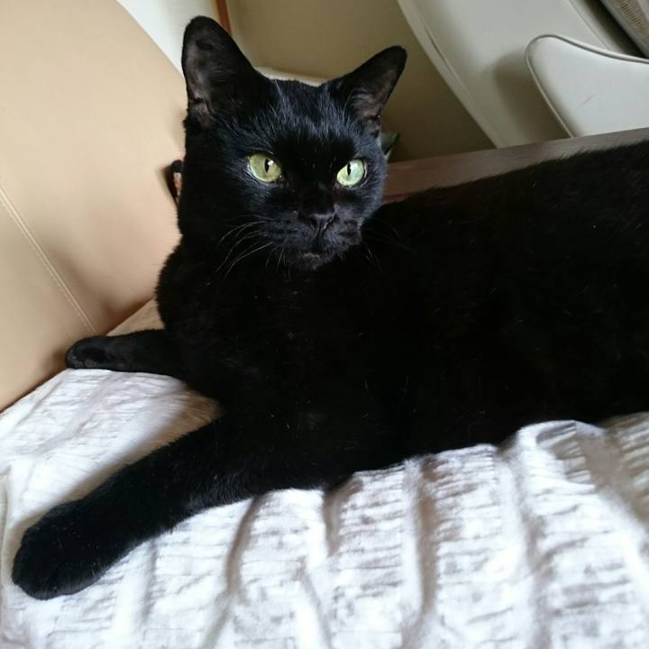 142ea88b 173a 47ac 860a 924c775fa0d4