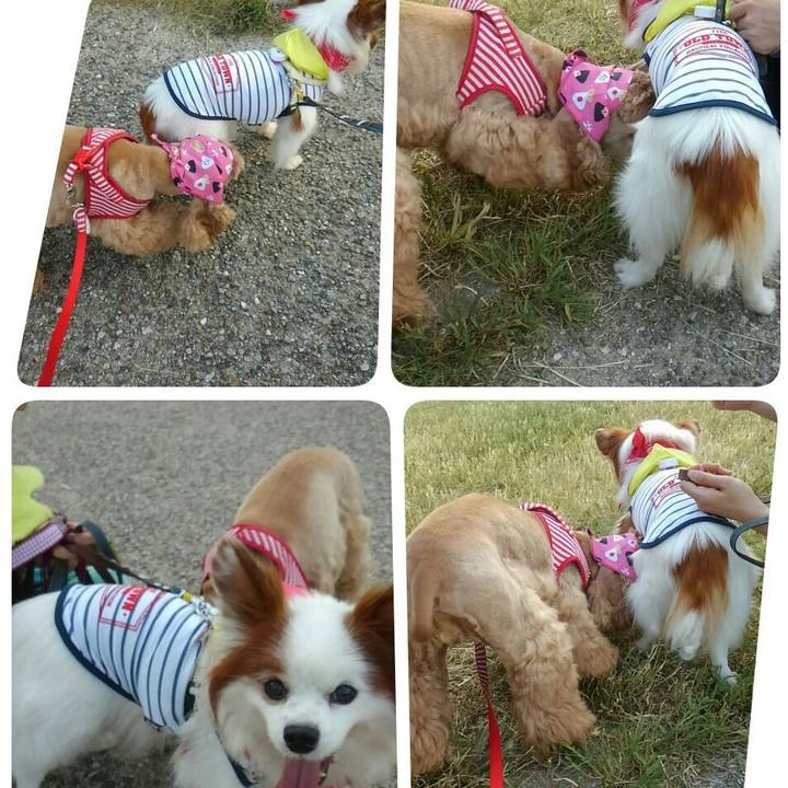 142f1248 f900 4791 962b 421e2505746a