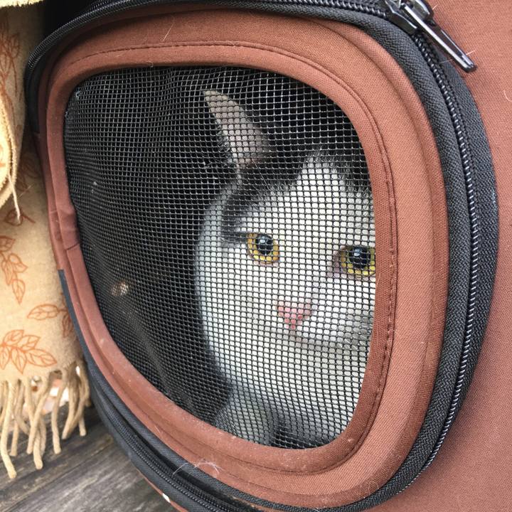 1430742f 0a68 46d9 8f4a 9a2895fc4094