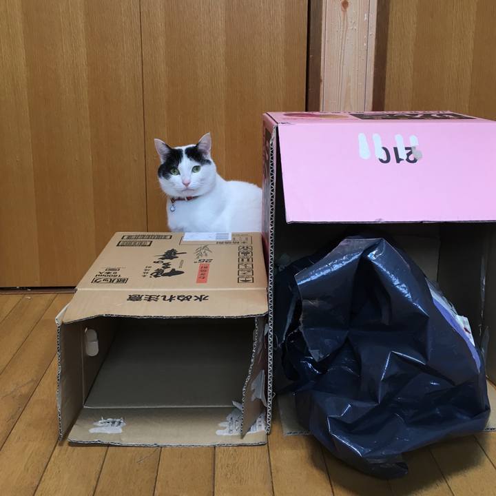 1430e485 7918 4856 a689 25ec21e77bbf