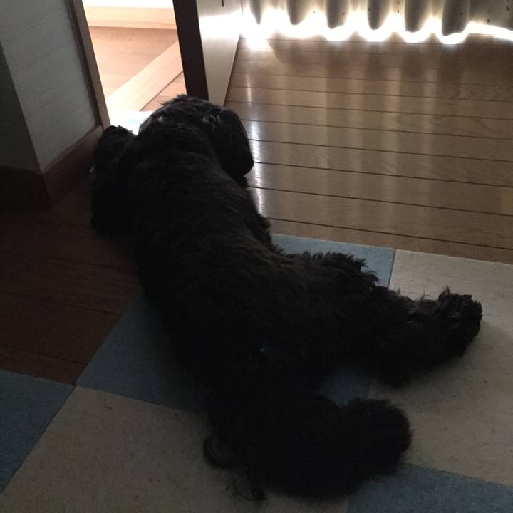 143118a9 adb2 4f68 b586 ae5d152da75c