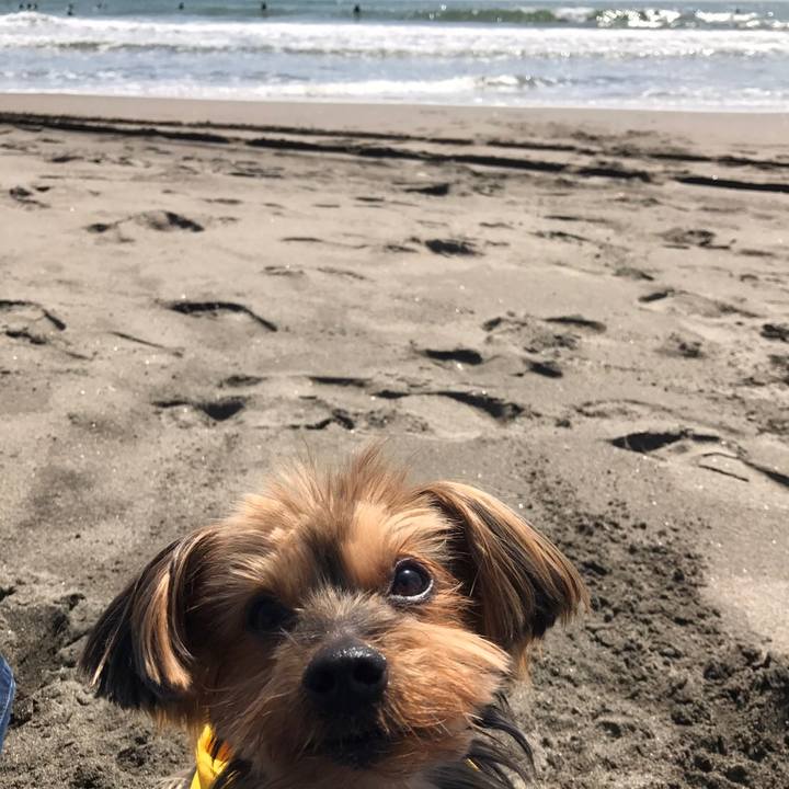 14315fa0 fb81 41e3 9f83 e89724d64309