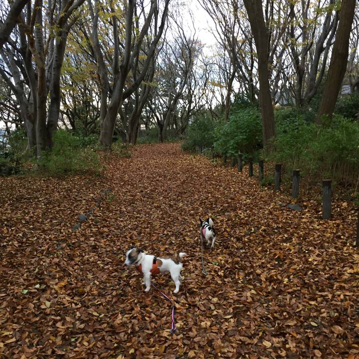 14320fb4 aefb 4959 a07d a3fab0a610f6