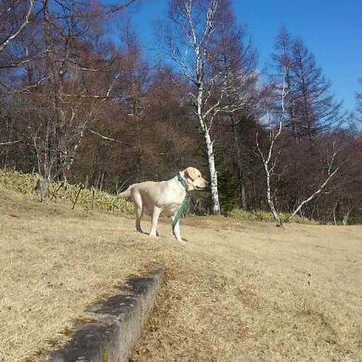 14322212 1b4b 4253 8e19 dedb58f906ae