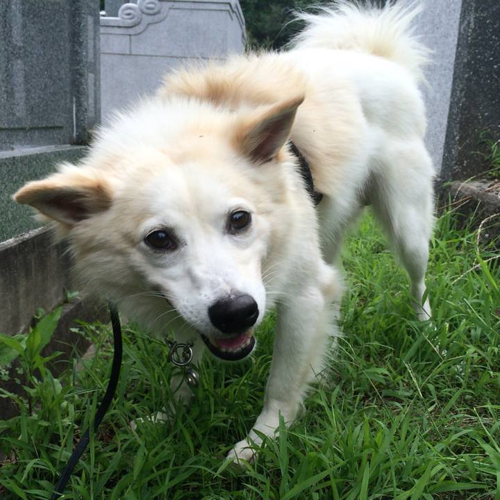 14322ca5 bed6 4b74 9027 23f240666971