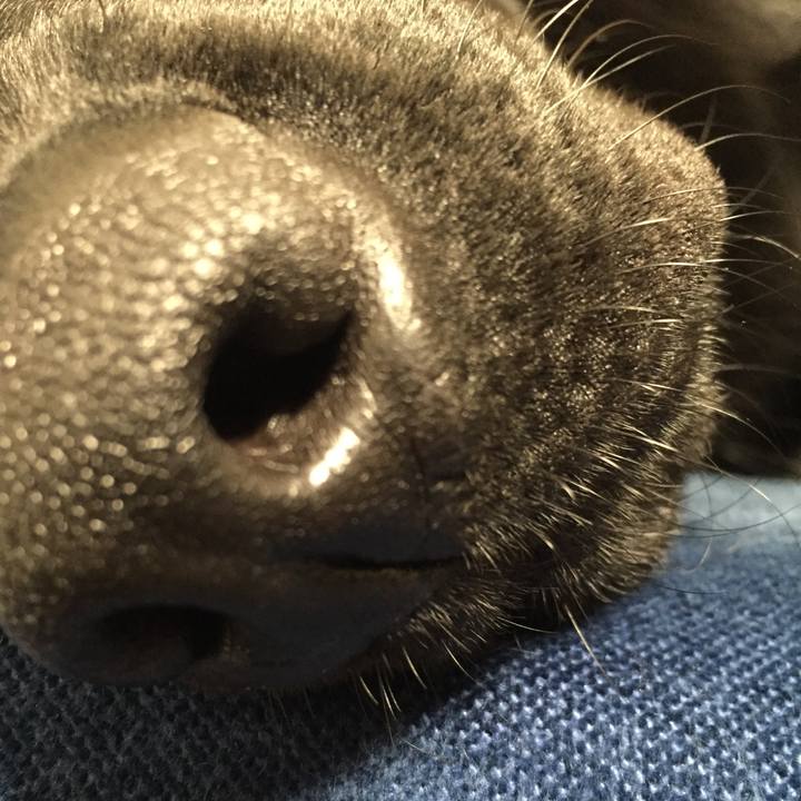 14325eeb 94cf 4fb7 a774 5dab384b64d9