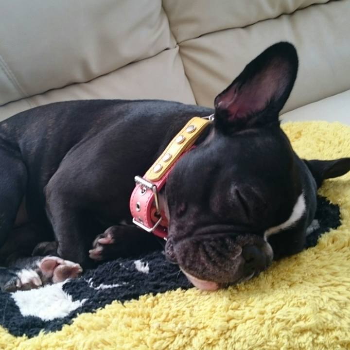 1433bb5c 22bb 4fa4 867d 6a5dd8554209