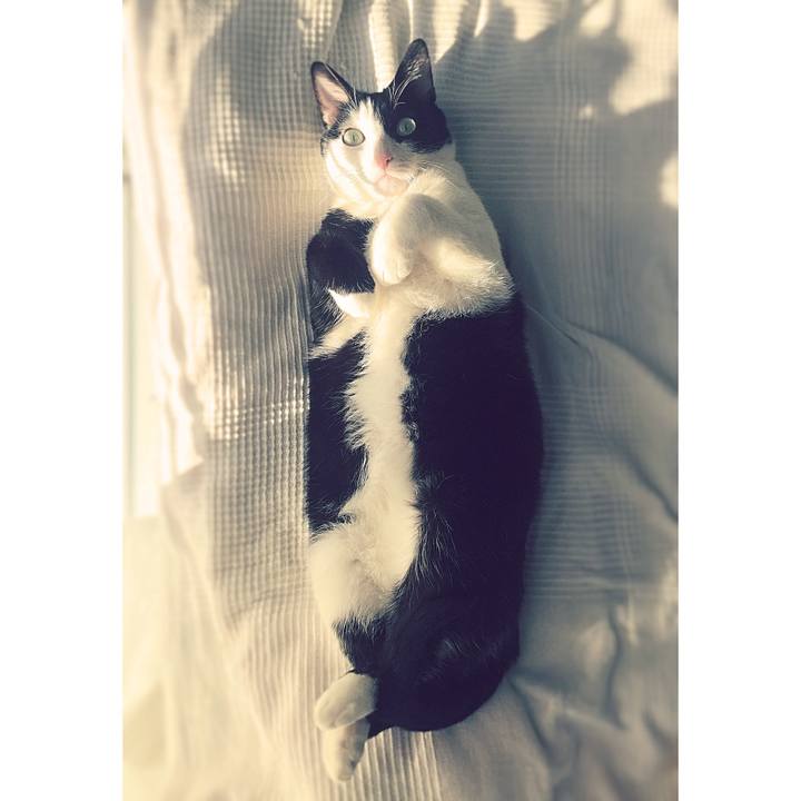 14344d8a 3330 4ba3 9d22 8c097cec8a76