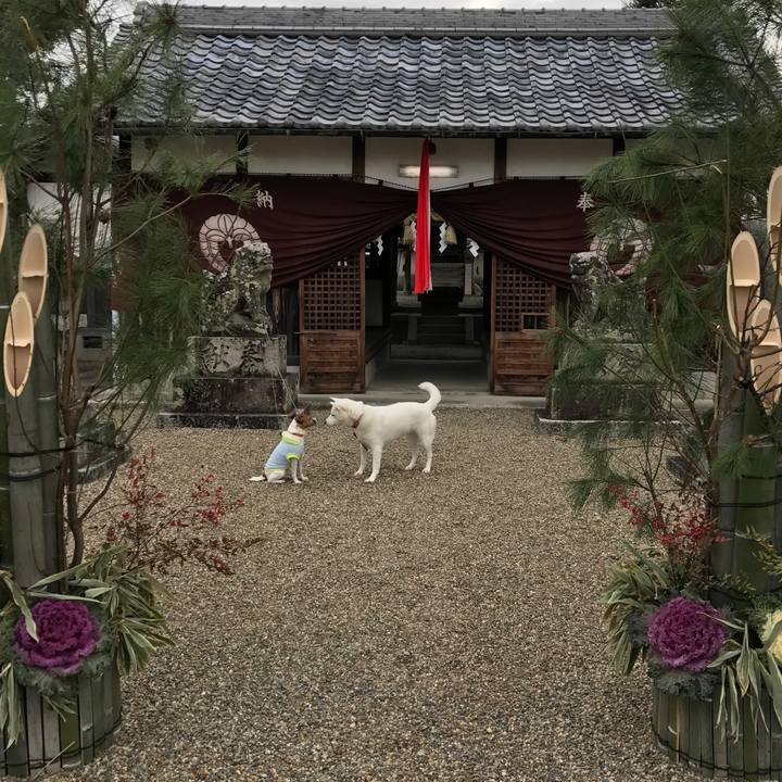 143464a6 72aa 4510 a92b 2ef198763ac9