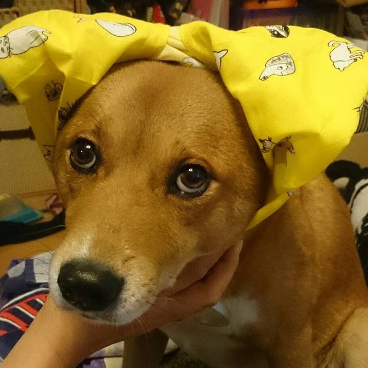 1434d8b7 41f5 4918 9046 1cf79f9f6068