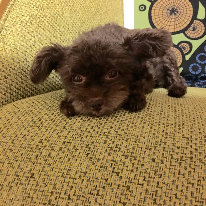 1435ac34 f892 4eef b1d6 26b333e7fc9e